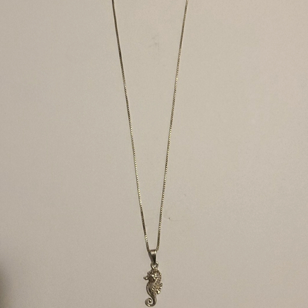 silver necklace and silver sea horse charme